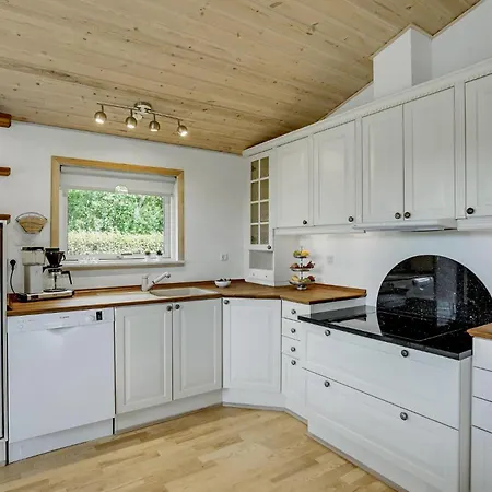 Ferienhaus Spurvevaenget Iii